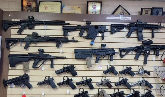 gun central photo